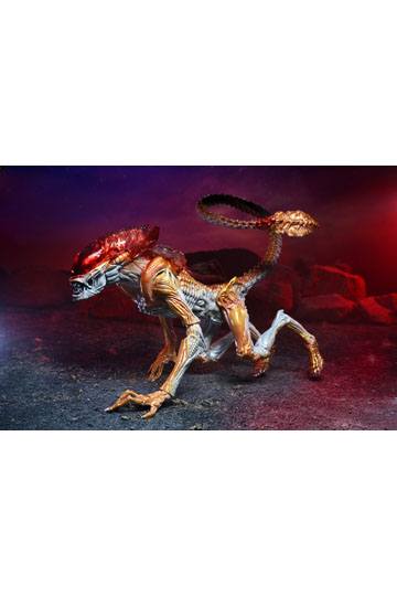 Aliens Action Figure Panther Alien (Kenner Tribute) 23 cm